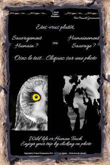 Cliquez ici pour revenir à l'accueil...