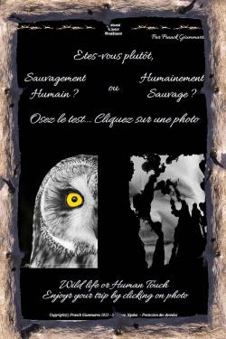 Cliquez ici pour revenir à l'accueil...