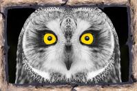 En route vers Humainement Sauvage