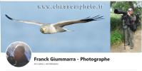 Pour me rejoindre, cliquez ici ou sur l'icone