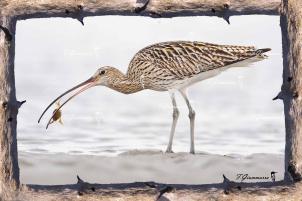 Un clic pour découvrir mes photos...