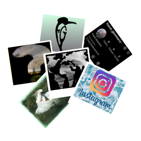 Venez me rejoindre sur Instagram