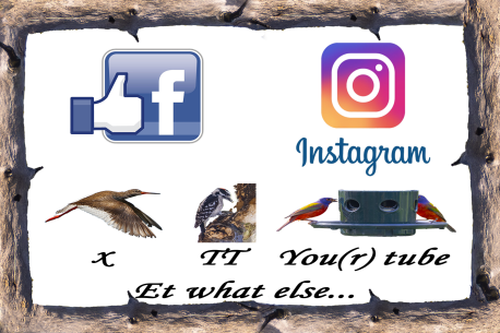 Cliquez ici pour me rencontrer sur les réseaux…