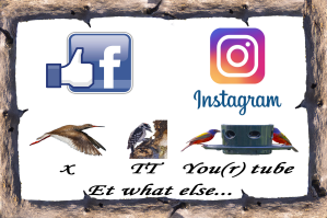 Cliquer ici pour me rencontrer sur les réseaux…