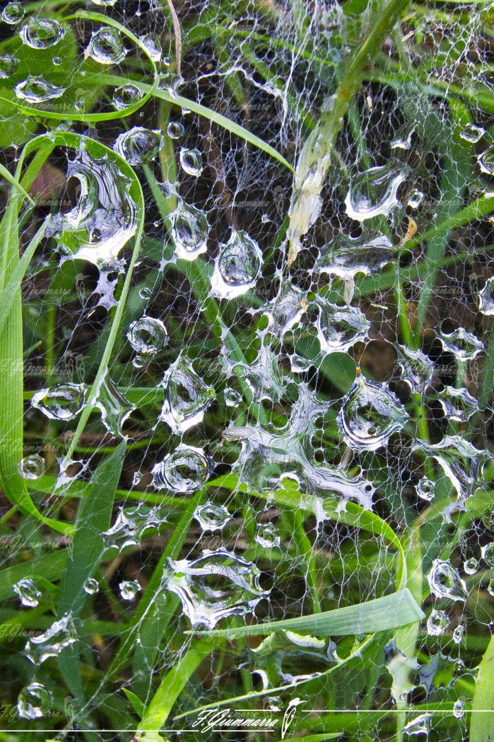 Les gouttes - De pluie… et de pluie