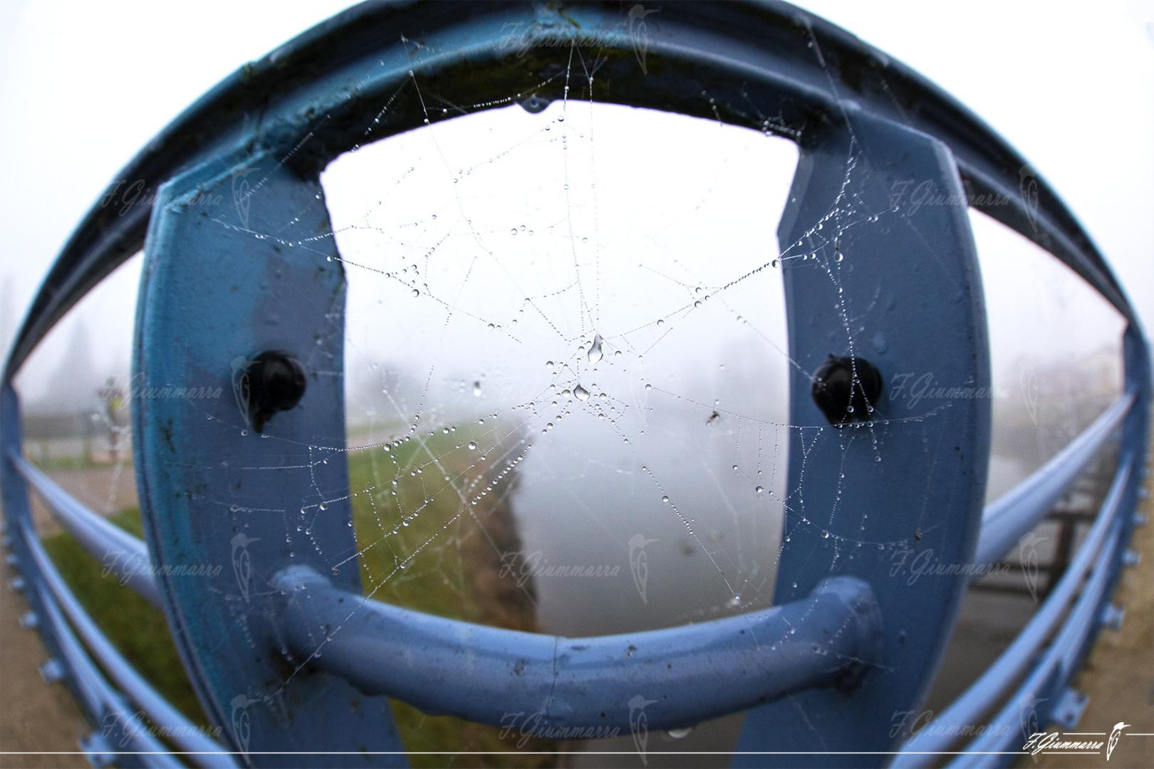Smile hey ! - Pour vous souhaiter la bienvenue...